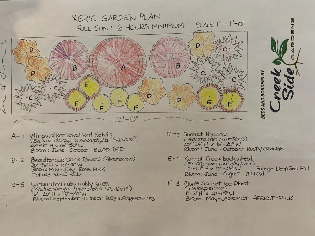 Proč letos nesázet hortenzii vedle šanty: Chyba, která stojí české zahrádkáře litry vody - image 1