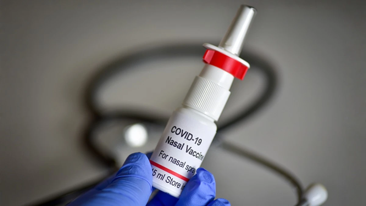 Proč vědci vkládají naději do nosního spreje, který má zastavit viry i sezónní alergie - image 1