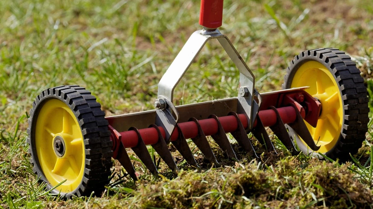Proč zkušení zahrádkáři vytahují vertikutátor až po druhém sečení trávy