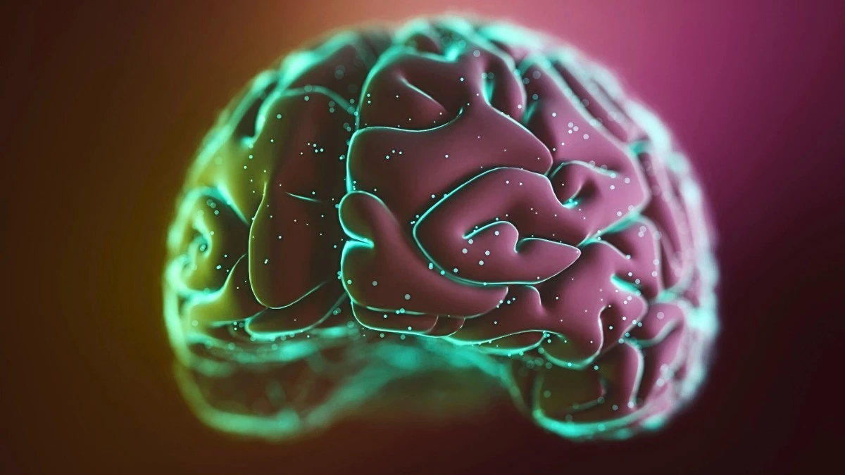 Proč se v mozku objevují speciální vlny po 20 minutách na kole