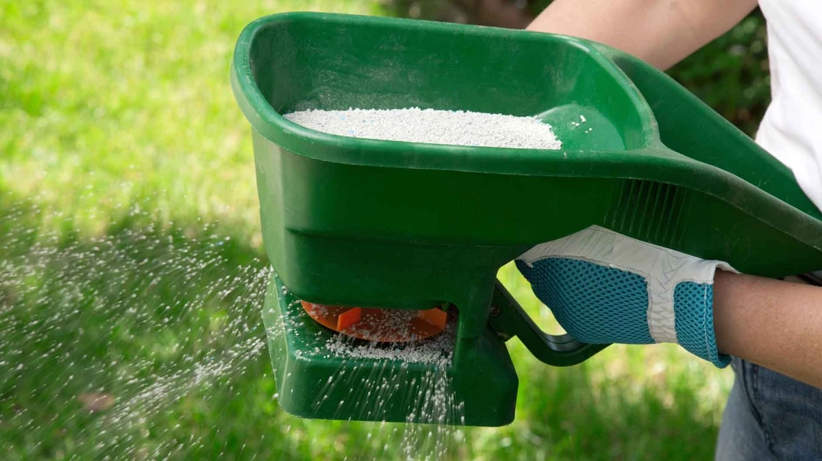 Proč zkušení zahrádkáři hnojí trávník, jen když je pod mrakem