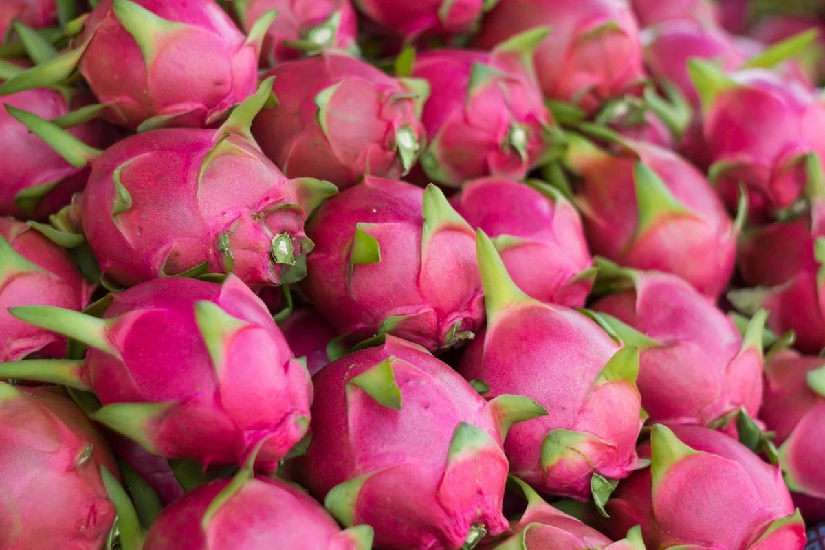 Proč zkušení dietologové doporučují kousek růžové pitayi ke snídani - image 1