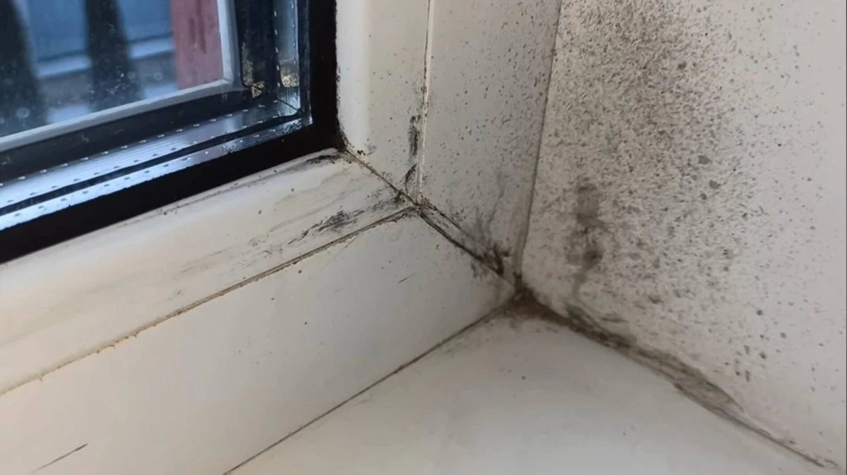 Proč zkušení hostitelé stříkají obyčejný ocet na stěny v koupelně