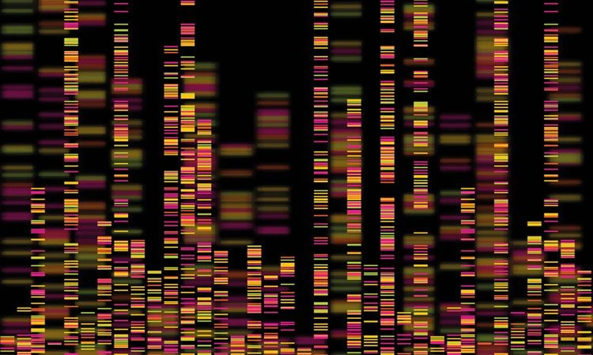 Ten „tmavý odpad“ v DNA: Proč 98 % vašich genů v roce 2026 mění léčbu nemocí - image 1